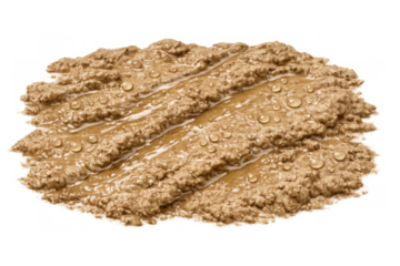 Wet sand texture with water droplets, showing damp grainy soil and organic material on transparent background