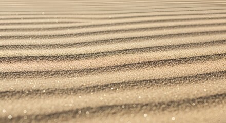 Image shows a serene sand pattern with intricate lines and texture outdoors.