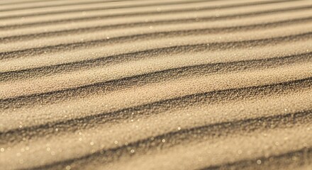 Sand dune landscape with striped patterns in desert environment