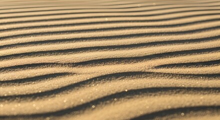 Wavy sand dunes stretch across desert landscape at sunset with rippling patterns
