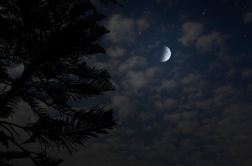 A waning moon on a cold in lonely night