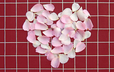 Beauitful soft pink and white rose petals on red grid background