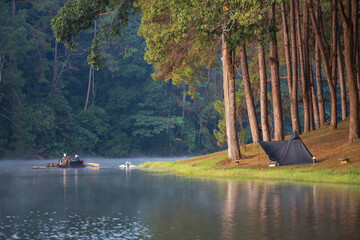 Pang Ung or Pang Tong Reservoir with camping tent and tourists travel rafting in lake with two dual or pair of white swans and nature morning mist or fog on water surface in winter season in Thailand