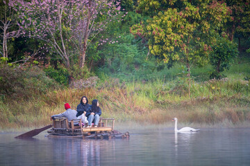 Pang Ung or Pang Tong Reservoir with family tourists travel rafting in lake with white swan and nature tiger claw tree or cherry blossom with pink sakura and morning fog on water surface in Thailand