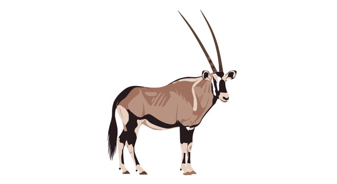 Majestic Gemsbok antelope, or South African Oryx, standing and looking forward, beautifully illustrated in a realistic style on a white background.