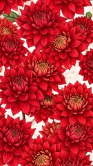 Vibrant Red Dahlias in Full Bloom - A Floral Extravaganza.