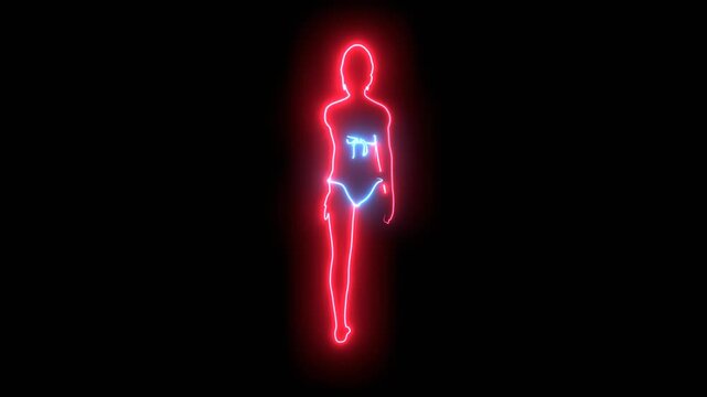 Animation of a beautiful fashion model posing in a stylish swimsuit. Young attractive woman in bikini. Sketch style outline. Back view. Neon glowing.