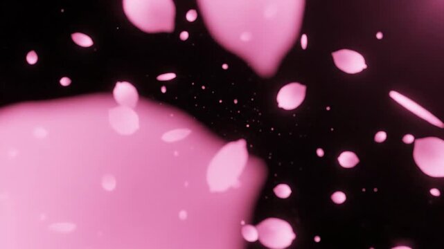 Pink Blood Cells Floating in Liquid.