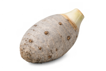 Taro root vegetable corm, raw tropical food, edible dasheen or eddoe, healthy organic ingredient on transparent background