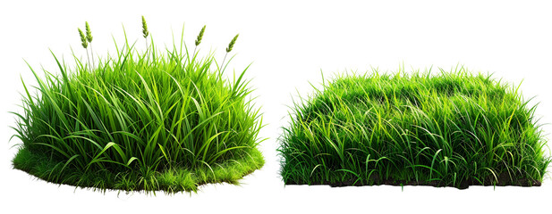 Naklejka premium Fresh green grass patch isolated on white background PNG