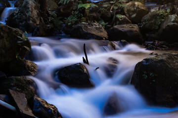 river water flowing between mountain rocks in the middle of the forest in the afternoon