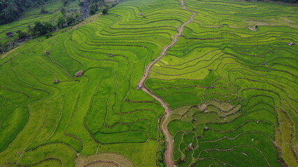 Aerial landscape of green rice terraces with winding river © Rifqi