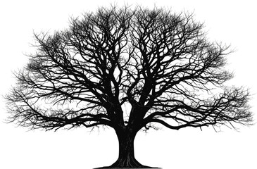 Obraz premium Set of tree in silhouettes. Also in vector format. Create many more shapes of trees from leaves and trees bottom row.