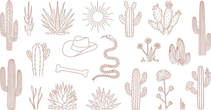 Desert line art illustration set with cacti, agave, snake, sun, western elements, minimalist boho southwest nature icons