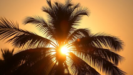 Palm tree silhouette against a golden sunset, capturing serene tropical vibes at dusk.