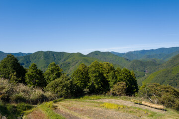 Fototapeta premium Expansive view of lush green mountains and terraced rice fields under a clear blue sky along the Kumano Kodo in Wakayama, Japan. Sunlight illuminates the dense forest and rural farmland, creating a