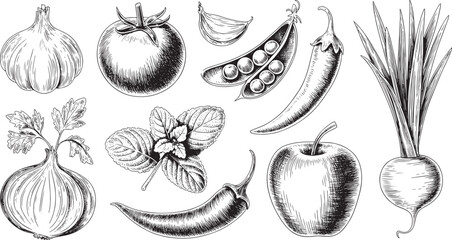 Assorted fresh vegetable and fruit elements are rendered in detailed, realistic black and white engraving style for culinary design projects.