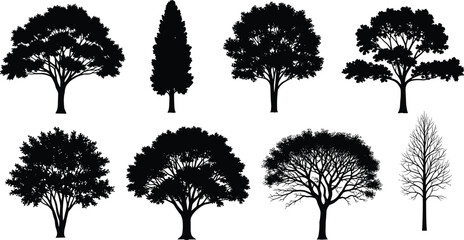Tree silhouettes collection, variety of black woodland plants including oak, pine, cypress and dead tree, nature vector illustration set. © Mst