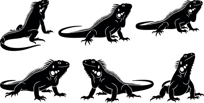 Iguana silhouettes in various poses black vector illustration of reptile lizard animal design for nature and wildlife themes