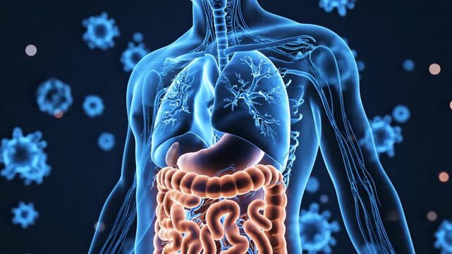 Medical illustration of human anatomy with infectious agents