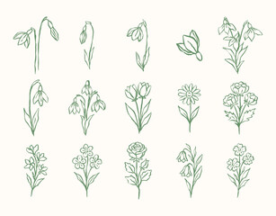 set of green leaves branch flower