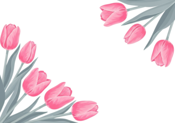 Stylized illustration of gentle pink tulips in bloom and bud with light grey stems, forming a border on a transparent background with copy space, bright studio lighting. Concept of spring blossom and