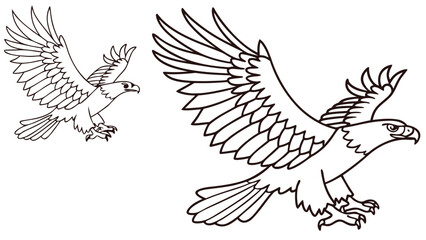 Obraz premium Bird martial eagle coloring page for kids