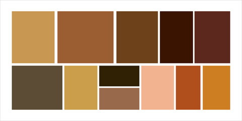 Modular shapes and bento grid layout