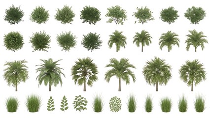 Assorted tropical garden plants and greenery set