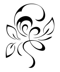 decorative element with an ornate pattern and leaves; graphic design