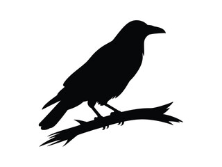Obraz premium Raven Crow Silhouette on Branch – Black Bird Wildlife Vector Illustration