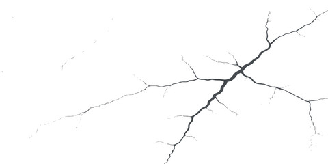 Grunge black concrete wall texture with a broken fracture pattern and a nature-inspired tree branch silhouette design © DAKU MOHARAJ