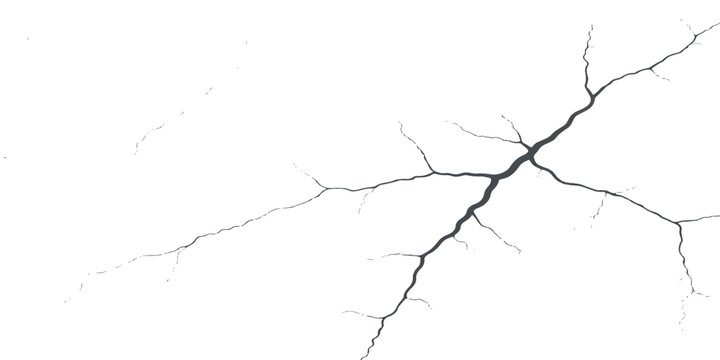 Grunge black concrete wall texture with a broken fracture pattern and a nature-inspired tree branch silhouette design