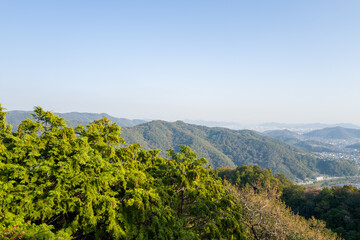 Fototapeta premium Vivid green treetops frame a sweeping view of rolling hills and a distant cityscape under a clear blue sky near Himeji, Japan. Bright daylight enhances the natural textures and creates a tranquil