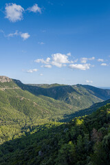 Obraz premium Sweeping view over a lush green valley filled with dense pine forest and rugged mountains under a bright blue sky with scattered clouds in Sardinia, Italy. Sunlight casts soft highlights across the