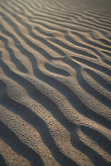 Fototapeta premium ripples in the sand