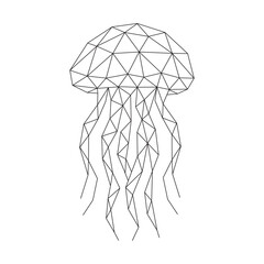 Polygonal line art of jellyfish vector © pmpueng