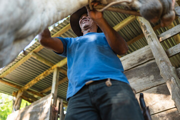 Fototapeta premium Costa Rican cowboy standing by rustic wooden stable at traditional ranch