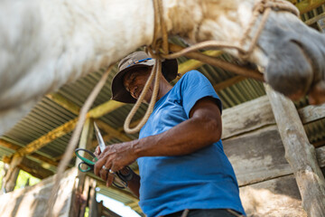 Portrait of a Costa Rican cowboy at a traditional wooden ranch