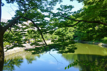Fototapeta premium Shaded framed view of scenic Japanese garden landscape on an overcast day