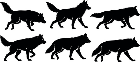 Fototapeta premium Silhouette wolf vector set showing different walking and running poses for design and creative projects