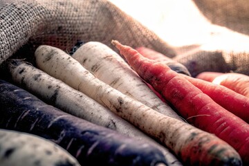 A close-up view of assorted colorful root vegetables, including carrots, with visible soil remnants and burlap texture, showcasing nature's fresh harvest.