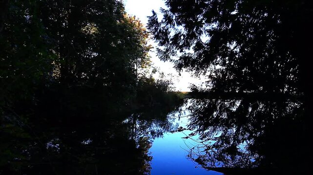  a video of a pond at Tolmie State Park Washington State