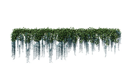 Fototapeta premium Lush Jade Vine Cascade with Turquoise Flowers 3D