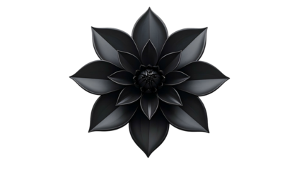 Realistic, centered image of a black, layered flower with textured petals on a black background