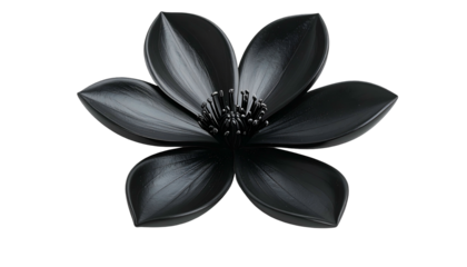 Close-up of a glossy, stylized black flower against a stark, pure black background