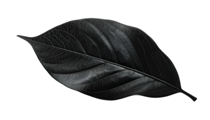 A single, textured black leaf with visible veins isolated on a black background