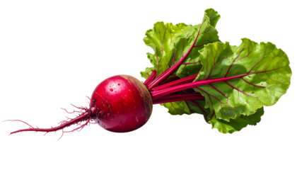 A vibrant, close-up photograph of a fresh, ruby red beet with green and red leaves