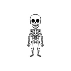A full body cartoon illustration of a standing skeleton with big eyes on a white background