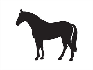 Fototapeta premium Rearing horse, Horse Silhouette, black horse silhouette vector illustration 